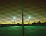 Statutory Nuisance from Insects and Artificial Light - Guidance on Sections 101 to 103 of the Clean Neighbourhoods and Environment Act 2005
