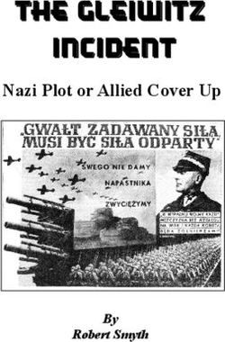 Nazi Plot or Allied Cover Up - By Robert Smyth