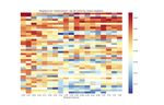 Diachronic Text Mining Investigation of Therapeutic Candidates for COVID-19