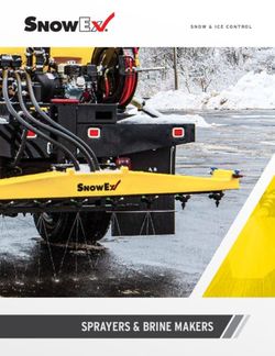 SPRAYERS & BRINE MAKERS - SnowEx