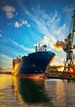 National Trade Survey 2021 - Key Findings & Recommendations - Australian Chamber of ...
