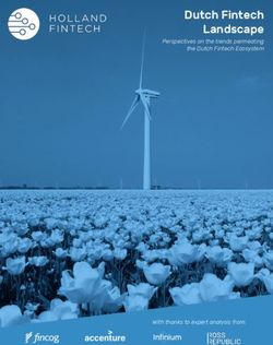 Dutch Fintech Landscape - Perspectives on the trends permeating the Dutch Fintech Ecosystem - With thanks to expert analysis from: Ross Republic