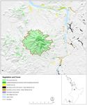 Sanctuary Mountain Maungatautari Restoration Plan 2019-2029