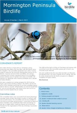 MORNINGTON PENINSULA BIRDLIFE - BIRDLIFE NETWORK