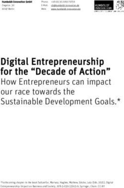 Digital Entrepreneurship for the "Decade of Action" - Humboldt ...