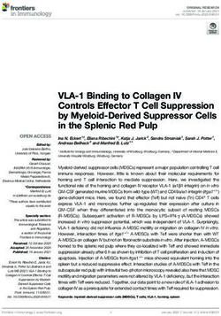 VLA-1 Binding to Collagen IV Controls Effector T Cell Suppression by Myeloid-Derived Suppressor Cells in the Splenic Red Pulp