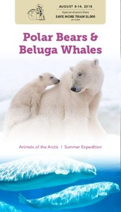 Polar Bears & Beluga Whales - Animals of the Arctic l Summer Expedition - AUGUST 8-14, 2018 - OSU Alumni Association