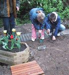 Healthy Growing food, growing - Opportunities for the European healthcare sector - Health Care ...