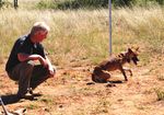 Technical highlights Invasive plant and animal research 2012-13 - Department of Agriculture, Fisheries and Forestry - Department of Agriculture ...
