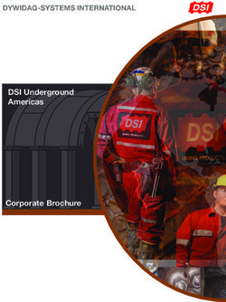 DSI Underground Americas - Corporate Brochure
