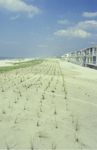 An Introduction to Erosion - Coastal Processes on Long Island - Stony Brook ...