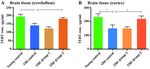 Reversal of brain aging by targeting telomerase: A nutraceutical approach - Spandidos ...