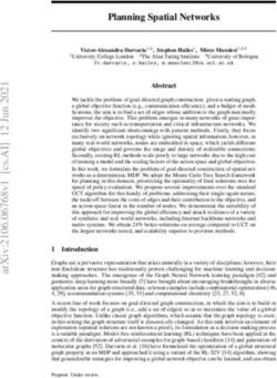 Planning Spatial Networks