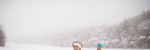 Activity Guide Jan. 2021 - Seniors Programs and Services - District of Muskoka