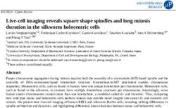 Live-cell imaging reveals square shape spindles and long mitosis duration in the silkworm holocentric cells