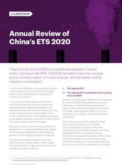 Annual Review of China's ETS 2020 - Dentons