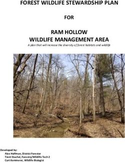 FOREST WILDLIFE STEWARDSHIP PLAN - Iowa Department of Natural ...