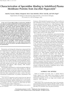 Characterization of Spermidine Binding to Solubilized Plasma Membrane Proteins from Zucchini Hypocotyls1