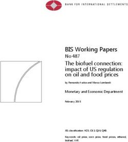 BIS Working Papers No 487