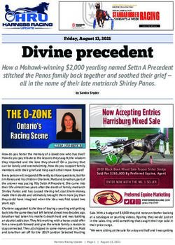 Divine precedent How a Mohawk-winning $2,000 yearling named Settn A Precedent stitched the Panos family back together and soothed their grief ...
