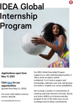 IDEA Global Internship Program