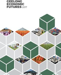 GEELONG ECONOMIC FUTURES 2017 - Juturna Infrastucture. Australian ...