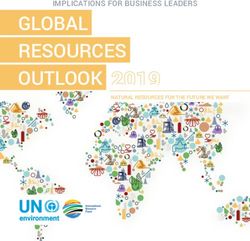 GLOBAL RESOURCES OUTLOOK - IMPLICATIONS FOR BUSINESS LEADERS - International Resource Panel