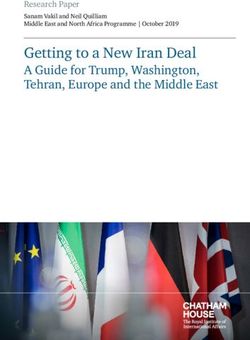 Getting to a New Iran Deal - A Guide for Trump, Washington, Tehran, Europe and the Middle East - Chatham House