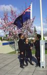 Hillcrest High School - Te Kura Tuarua O Tihipuke - PROSPECTUS 2015