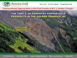 Unprecedented Opportunities in the Final Frontier of B.C.'s Golden Triangle