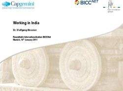 Working in India Dr. Wolfgang Messner Roundtable Internationalization BICCNet Munich, 18th January 2011