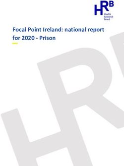 Focal Point Ireland: national report for 2020 - Prison