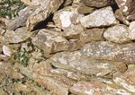 County kilkenny rural design guide
