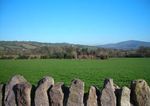 County kilkenny rural design guide