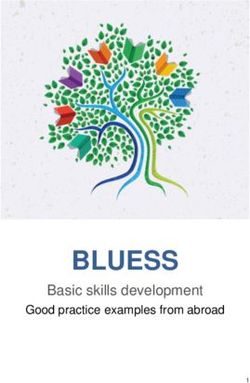 BLUESS Basic skills development - Good practice examples from abroad