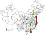 Evaluating the Electric Vehicle Subsidy Program in China