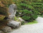 Designed in the Stroll-Garden Style - SEATTLE JAPANESE GARDEN - Arboretum Foundation