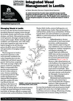 Integrated Weed Management in Lentils