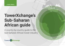TowerXchange's Sub-Saharan African guide - A country-by-country guide to the Sub-Saharan African tower industry