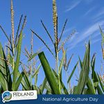 Meet the Department - Midland County