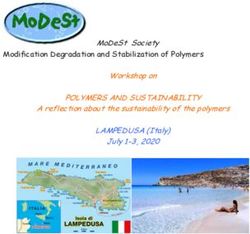 POLYMERS AND SUSTAINABILITY - MODEST SOCIETY MODIFICATION DEGRADATION AND STABILIZATION OF POLYMERS WORKSHOP ON A REFLECTION ABOUT THE ...