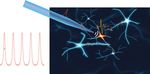 Non-genetic photoacoustic stimulation of single neurons by a tapered fiber optoacoustic emitter
