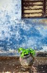CUBA: COLOURS & FLAVOURS - £5,980 FROM - The Ultimate Travel Company