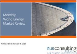Monthly World Energy Market Review - Release Date: January 8, 2019 - NUS Consulting