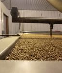 MALTING EQUIPMENT And Technical Support - MaltBroue