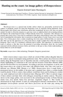 Hunting on the coast: An image gallery of Rompecr&aacute;neos