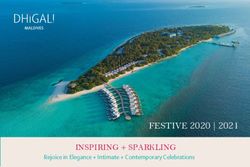 FESTIVE 2020 | 2021 INSPIRING + SPARKLING - Rejoice in Elegance + Intimate + Contemporary Celebrations - Dhigali ...
