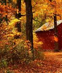 Colour Planner - pantoneview - AUTUMN | WINTER 2017-18 - aatcc