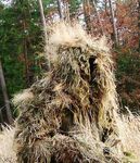 Colour Planner - pantoneview - AUTUMN | WINTER 2017-18 - aatcc