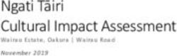 Ngati Tāiri Cultural Impact Assessment - New Plymouth ...